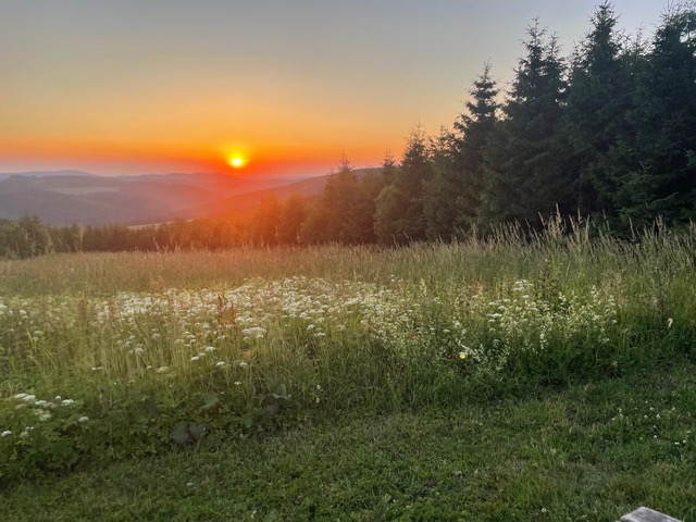 4ef6709e 5b5c 4099 ae82 8a3ef9c30af8