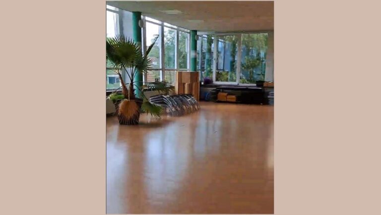 Image6
